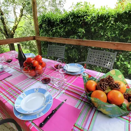 Casa Olivo 1