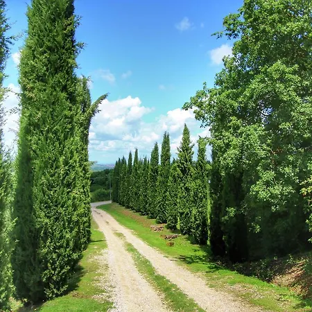 Casa Olivo 1 San Quirico dʼOrcia