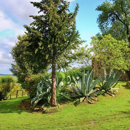 Σπίτι διακοπών Casa Olivo 1 *